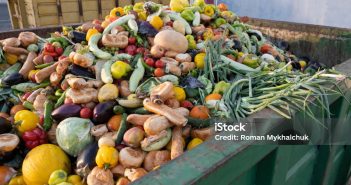 Food Waste and Starvation