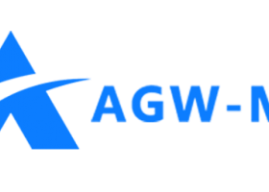 AGW-MS Capital: Launching Fixed Income ETF Products to Lead the Investment Trend